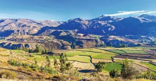 © vitmark - Fotolia