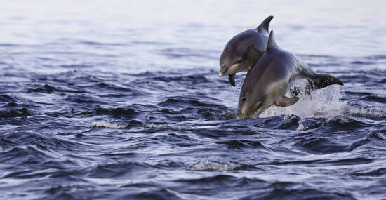 ©jamie - stock.adobe.com