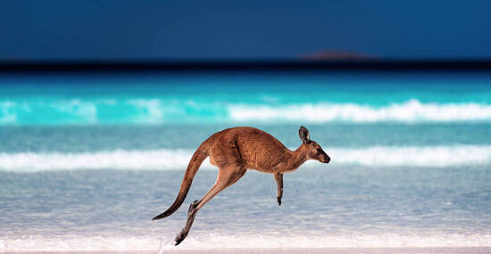 © Andrew Atkinson - stock.adobe.com