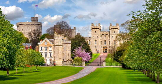 ©Mistervlad - stock.adobe.com