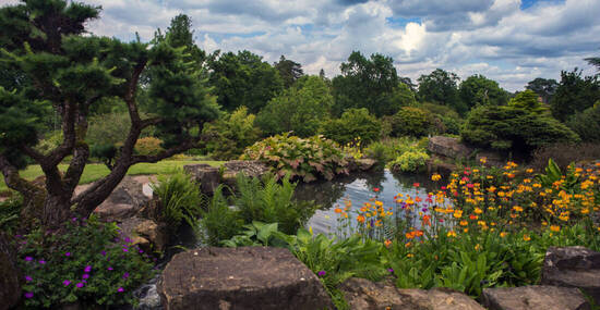 © copyright Kevin White 2017