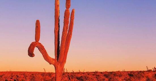 © Galyna Andrushko - Fotolia