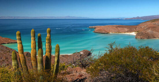 © forcdan - stock.adobe.com