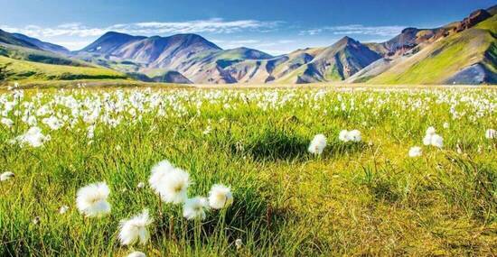 © Simon Dannhauer - Fotolia