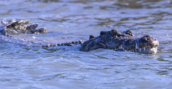 Heritage Expedition - Cathy Finch