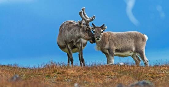 © seafarer81 - stock.adobe.com