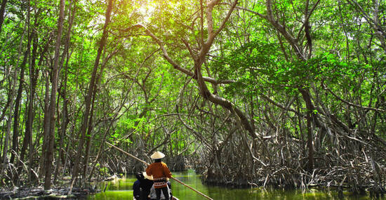 © frenta - stock.adobe.com