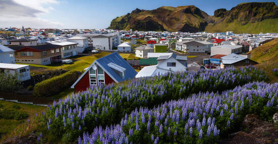 ©frankenfotograf - stock.adobe.com