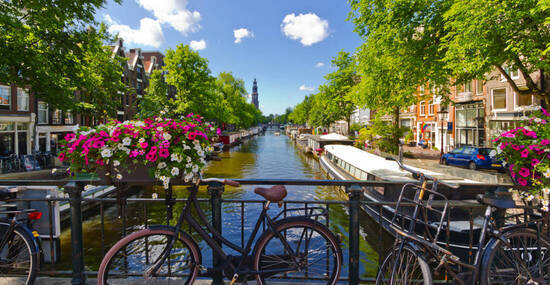 © FSEID - stock.adobe.com