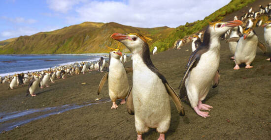 © Getty Images/iStockphoto