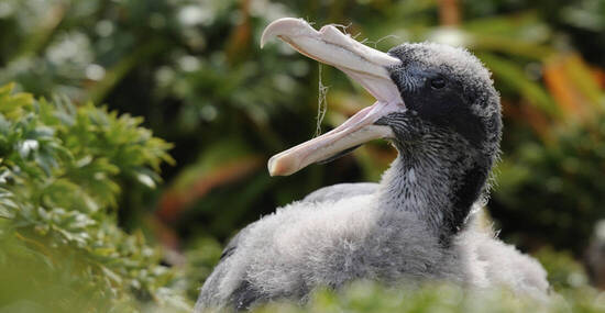 © Getty Images/iStockphoto