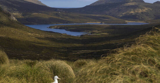 © Getty Images/iStockphoto