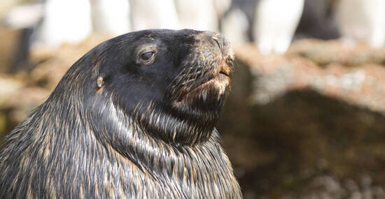 © Getty Images/iStockphoto