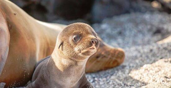 © ksumano - Fotolia