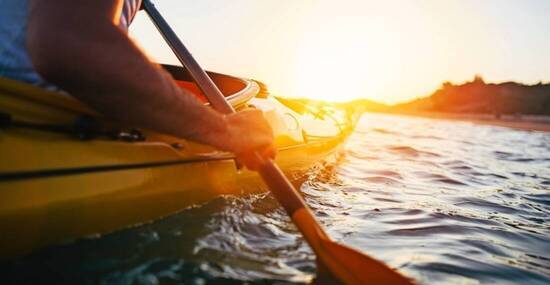 © yossarian6 - stock.adobe.com