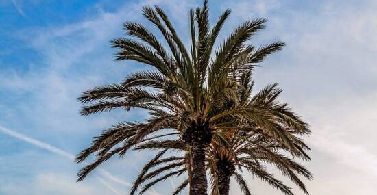 © MangAllyPop@ER - stock.adobe.com