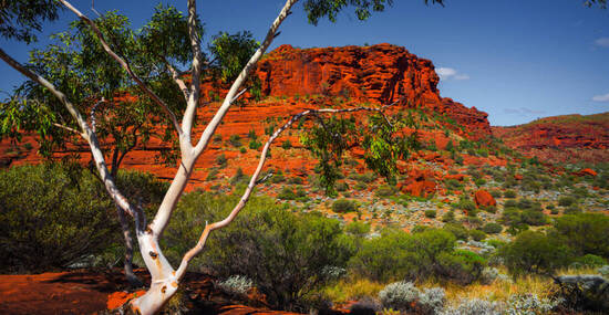 © Kwest - stock.adobe.com