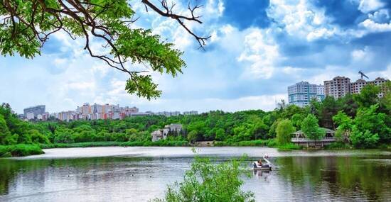 © iryna1 - stock.adobe.com