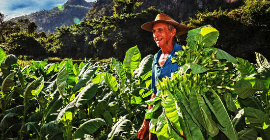 ©Ingo Bartussek - stock.adobe.com