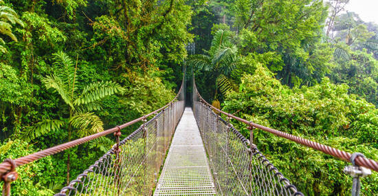 © Lichtwolke99 - stock.adobe.com