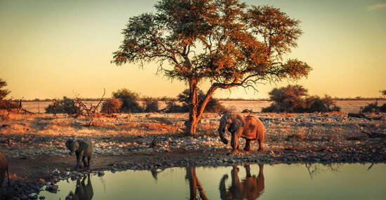 © Simone - stock.adobe.com