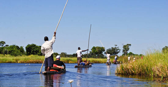 ©ah_fotobox - stock.adobe.com