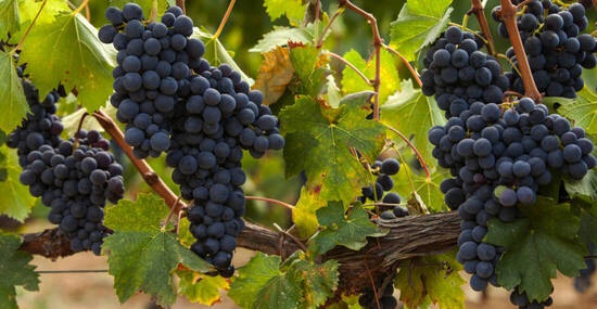 © wjarek - stock.adobe.com