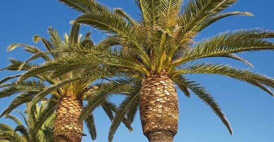 © Gundolf Renze - Fotolia