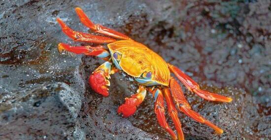 © doethion - Fotolia