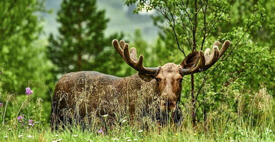 ©janmiko - stock.adobe.com