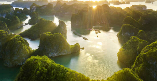 © Hien Phung - stock.adobe.com