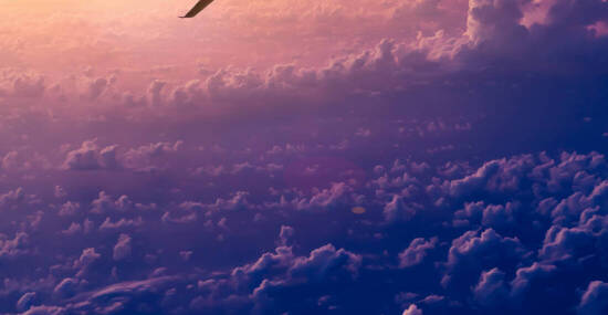 © 06photo - stock.adobe.com