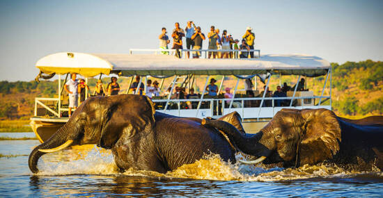 ©THPStock - stock.adobe.com