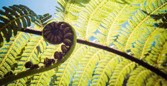 © Mariusz Prusaczyk - Fotolia