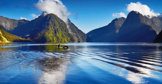 © Dmitry Pichugin - Fotolia