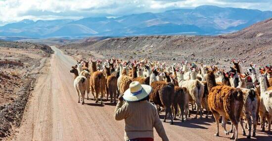 © jkraft5 - Fotolia