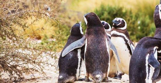 © Galyna Andrushko - Fotolia