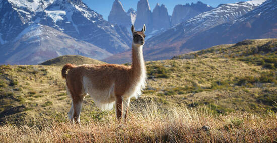 ©sunsinger - stock.adobe.com