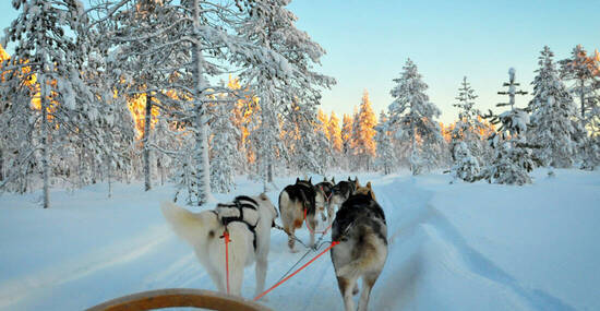 ©belostmi - stock.adobe.com