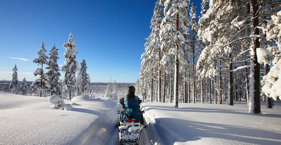 ©kobeza - stock.adobe.com