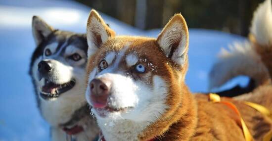 © srongkrod - stock.adobe.com