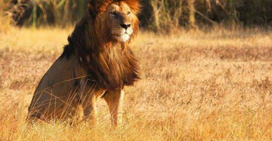 © Pierre-Jean DURIEU - Fotolia