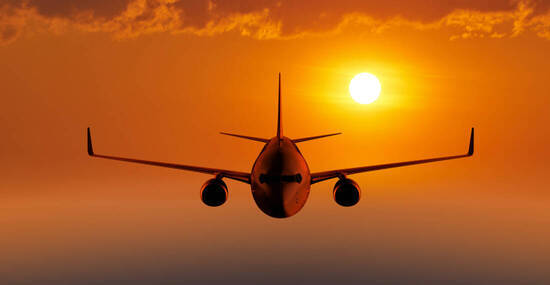 ©ILYA AKINSHIN - stock.adobe.com