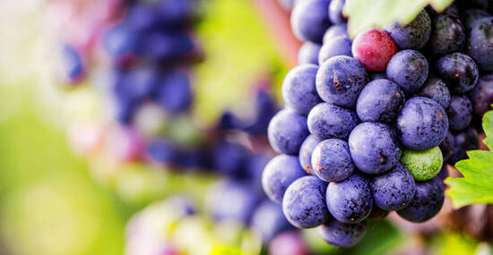 ©karepa - stock.adobe.com