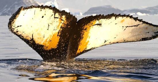 © pilipenkod - stock.adobe.com