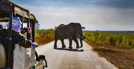 ©WitR - stock.adobe.com