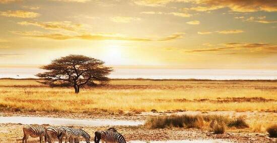 © Galyna Andrushko - Fotolia