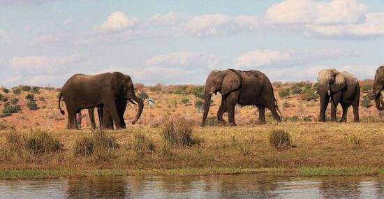 © Philipp Wininger - Fotolia