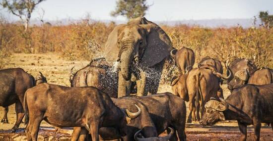 © UTOPIA - stock.adobe.com