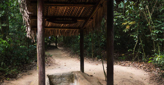 © daphnusia - stock.adobe.com